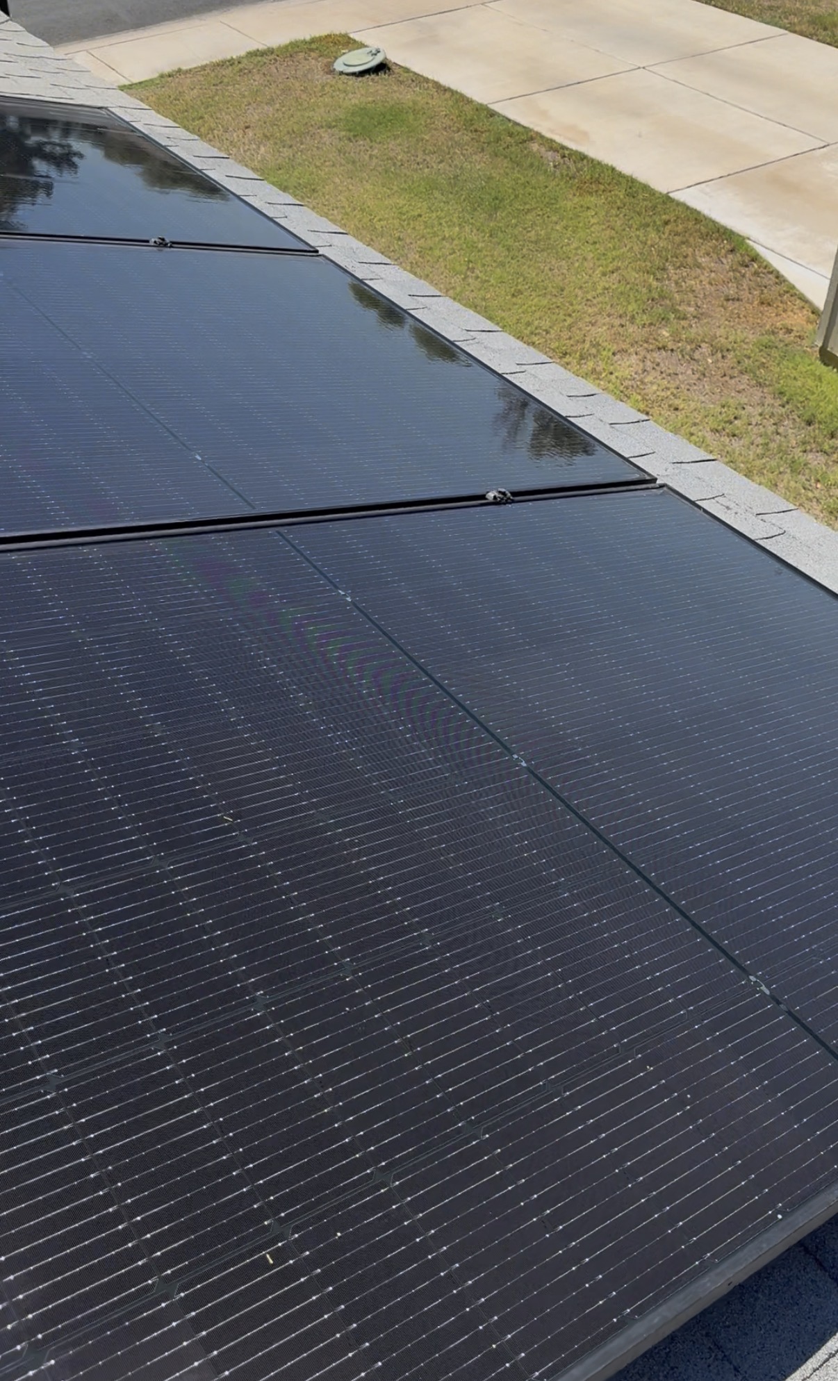 Freshly cleaned solar panels